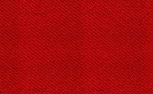 红什么网,新时代下的中国发展历程与成就